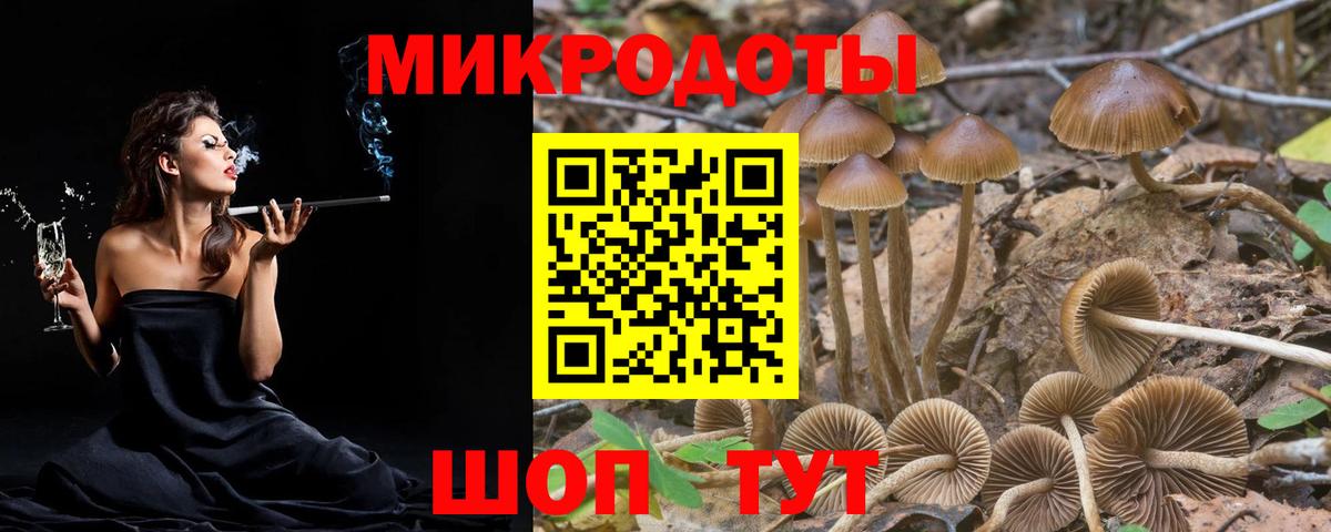 Псилоцибиновые грибы Magic Shrooms  Псилоцибиновые грибы Magic Shrooms  Зеленокумск  Вход с VPN 